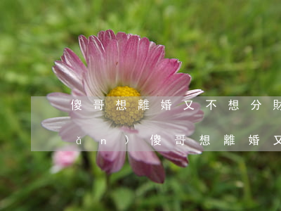 傻哥想離婚又不想分財(cái)產(chǎn)(傻哥想離婚又不想分財(cái)產(chǎn))