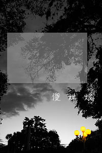 傻姑娘離婚怎么辦