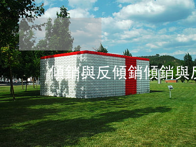 傾銷與反傾銷(傾銷與反傾銷的理解)