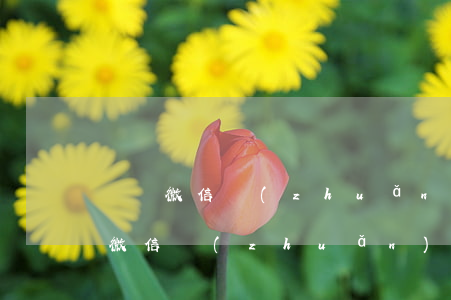 僅憑微信轉(zhuǎn)賬起訴駁回(單憑微信轉(zhuǎn)賬能起訴嗎?費(fèi)用要多少)