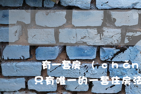 僅有一套房產(chǎn)法院可以拍賣嗎(只有唯一的一套住房法院能拍賣嗎)