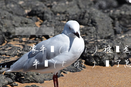 像平臺(tái)被騙是怎么處理的(被虛假平臺(tái)騙了怎么辦)