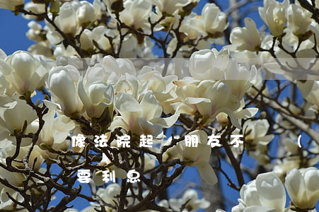 像法院起訴朋友不還錢(qián)該不該要利息