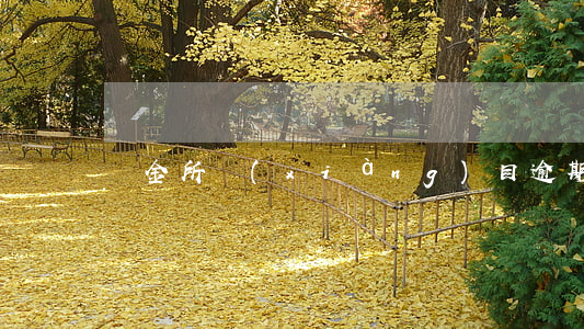 僑金所項(xiàng)目逾期