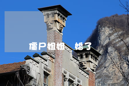僵尸姐姐離婚了嗎