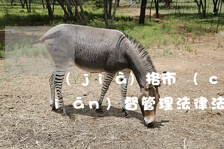 價(jià)格市場(chǎng)監(jiān)督管理法律法規(guī)全(市場(chǎng)監(jiān)督管理局所用法律有哪些)