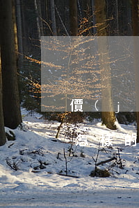 價(jià)格欺詐的法律責(zé)任是怎樣的