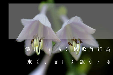 價(jià)格欺詐行為由誰(shuí)來(lái)認(rèn)定