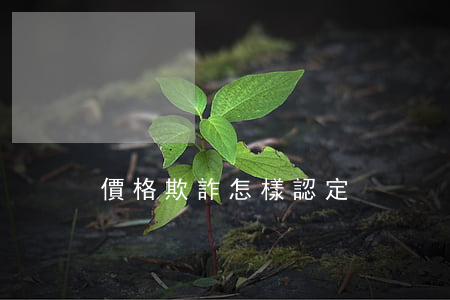 價格欺詐怎樣認定