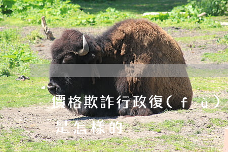 價格欺詐行政復(fù)議的依據(jù)是怎樣的