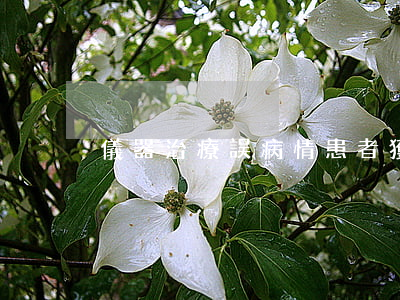 儀器治療誤病情患者獲賠十萬元