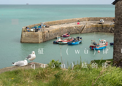 儀征債務(wù)律師哪家好 儀征最有權(quán)威的律師
