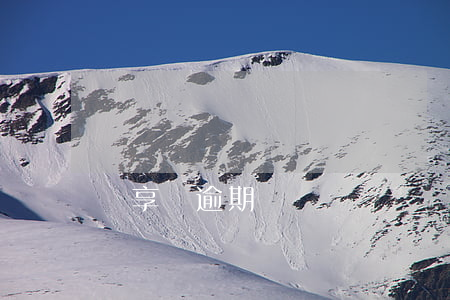 儂享貸逾期