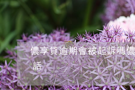 儂享貸逾期會被起訴嗎(儂享貸逾期多久打電話)