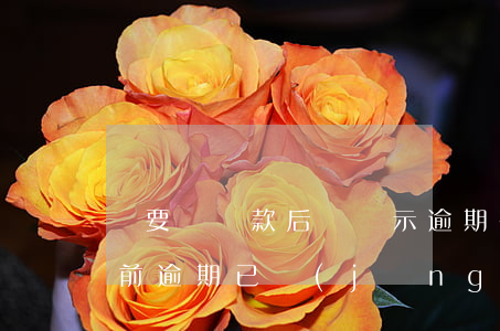 儂要貸還款后還顯示逾期(有當(dāng)前逾期已經(jīng)還了還能貸款嗎)