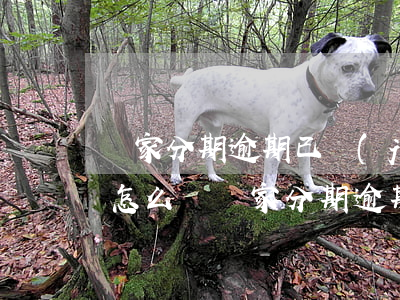 億家分期逾期已經(jīng)下律師函了怎么辦(億家分期逾期已經(jīng)下律師函了怎么辦)