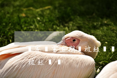 億家財富逾期會被起訴嗎-億家財富逾期會被起訴嗎