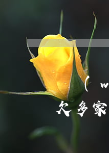億萬(wàn)信用卡逾期負(fù)債-欠多家銀行信用卡逾期