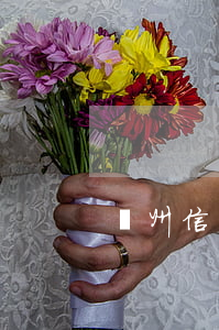 儋州信用卡逾期(儋州信用卡逾期電話)