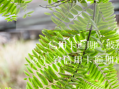 償還信用卡逾期會被判刑嗎(因服刑導(dǎo)致信用卡逾期出來無法還)