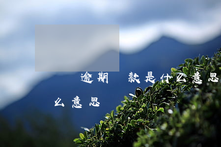 償還逾期貸款是什么意思(償還逾期貸款是什么意思)
