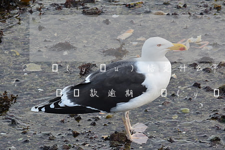 優(yōu)信是什么平臺發(fā)信息說貸款逾期-優(yōu)信是什么平臺發(fā)信息說貸款逾期了