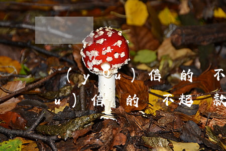 優(yōu)信買的還不起貸款-優(yōu)信買的還不起貸款