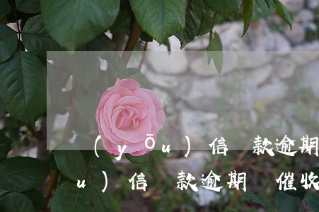 優(yōu)信貸款逾期貼催收函(優(yōu)信貸款逾期貼催收函)