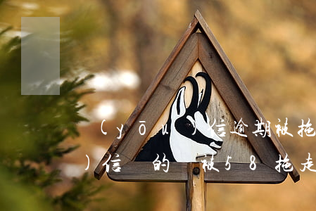 優(yōu)信逾期被拖車還款(優(yōu)信買的車被58拖走了)