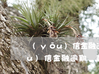 優(yōu)信金融逾期還款后果(優(yōu)信金融逾期還款后果)
