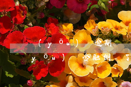 優(yōu)億逾期兩個月會起訴了嗎(優(yōu)億金融倒閉了嗎,逾期一個星期了,也不催收)