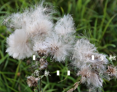 優(yōu)億金融現(xiàn)在還能借款嗎（優(yōu)億分期貸逾期了）