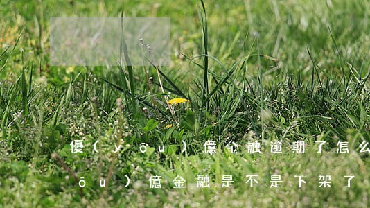 優(yōu)億金融逾期了怎么還款(優(yōu)億金融是不是下架了)
