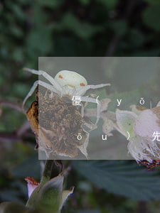 優(yōu)先受償權(quán)(優(yōu)先受償權(quán)的范圍)