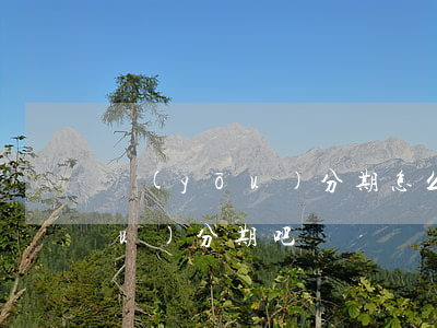 優(yōu)分期怎么樣只還本金(優(yōu)分期吧)