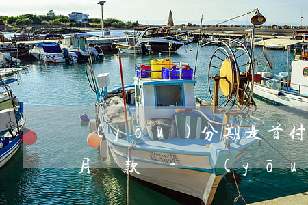 優(yōu)分期是首付和第一個(gè)月還款嗎-優(yōu)分期是首付和第一個(gè)月還款嗎是一樣嗎