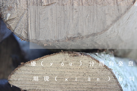 優(yōu)分期有免息嗎(優(yōu)分期現(xiàn)在叫什么)