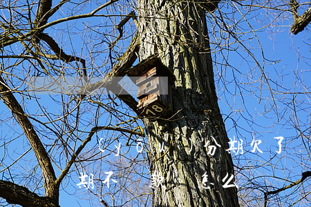 優(yōu)分期欠了兩年(優(yōu)分期不還款會怎么樣)