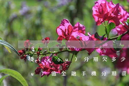 優(yōu)分期欠多少會被起訴(優(yōu)億金融手機分期還不了會被起訴嗎)