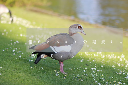 優(yōu)分期網(wǎng)貸倒閉了嗎（優(yōu)分期逾期還能再借嘛）