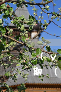 優(yōu)分期聯(lián)系家長逾期 優(yōu)誠分期說我逾期