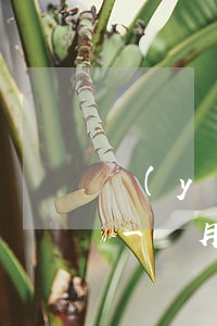 優(yōu)分期逾期一周還款(即分期逾期一個月下一期還上可否)