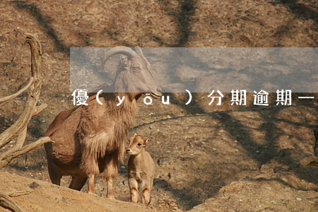 優(yōu)分期逾期一天會怎樣