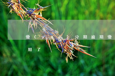 優(yōu)分期逾期 優(yōu)分期逾期了