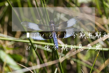 優(yōu)分期逾期利息是多少 優(yōu)信分期利息多少