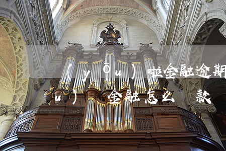 優(yōu)啦金融逾期還款方式(優(yōu)億金融怎么還款)