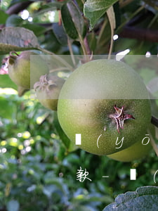 優(yōu)誠分期為什么無緣無故讓我還款-優(yōu)誠分期為什么無緣無故讓我還款呢