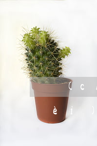儲(chǔ)蓄卡短信服務(wù)費(fèi)沒交算逾期嗎-儲(chǔ)蓄卡短信服務(wù)費(fèi)沒交算逾期嗎怎么辦