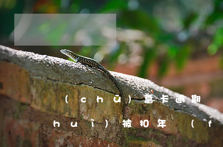 儲(chǔ)蓄卡逾期會(huì)不會(huì)被扣年費(fèi)(儲(chǔ)蓄卡卡費(fèi)逾期上征信嗎)