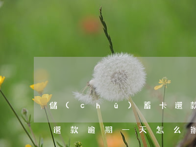 儲(chǔ)蓄卡還款逾期4天(銀行卡貸款還款逾期一天怎么辦)
